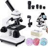 Microscopy Spore Microscope